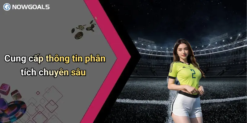 Cung cấp thông tin phân tích chuyên sâu