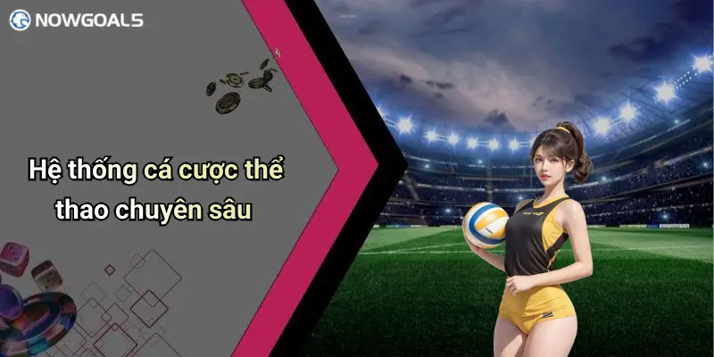 Hệ thống cá cược thể thao chuyên sâu