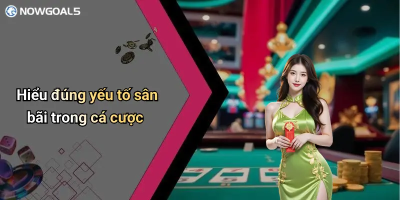 Hiểu đúng yếu tố sân bãi trong cá cược