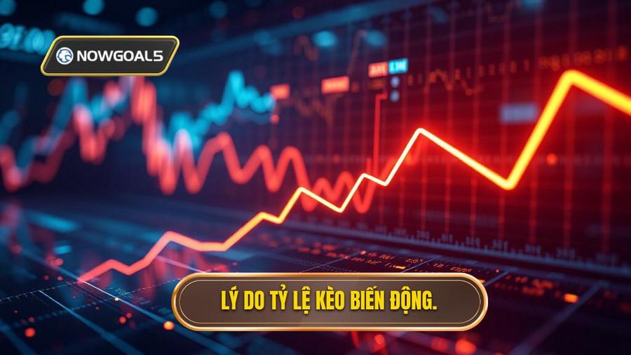 Phân tích đa chiều: Tại sao tỷ lệ kèo trực tuyến lại biến động?