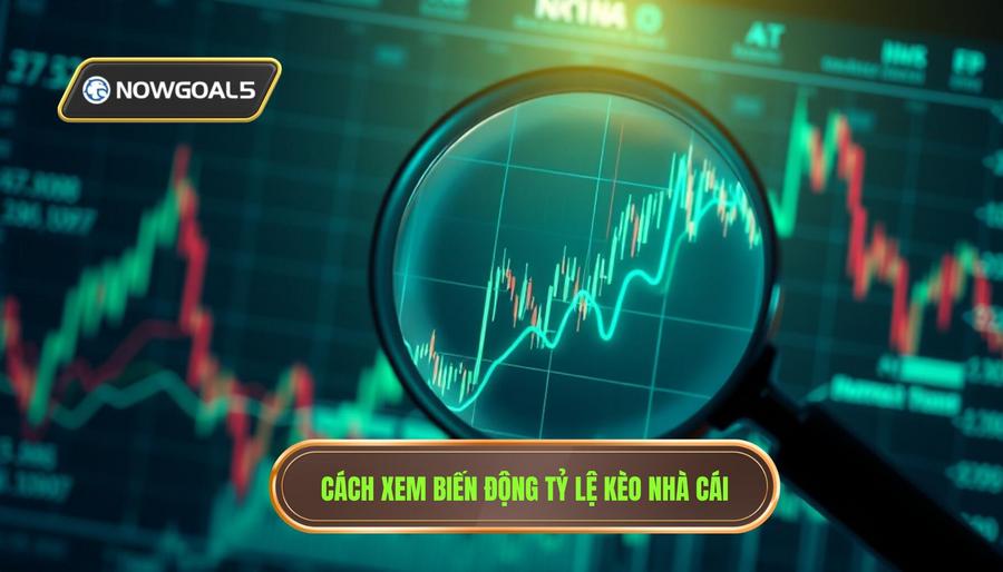 Biến động tỷ lệ kèo – "Cửa sổ" nhìn vào ý đồ nhà cái