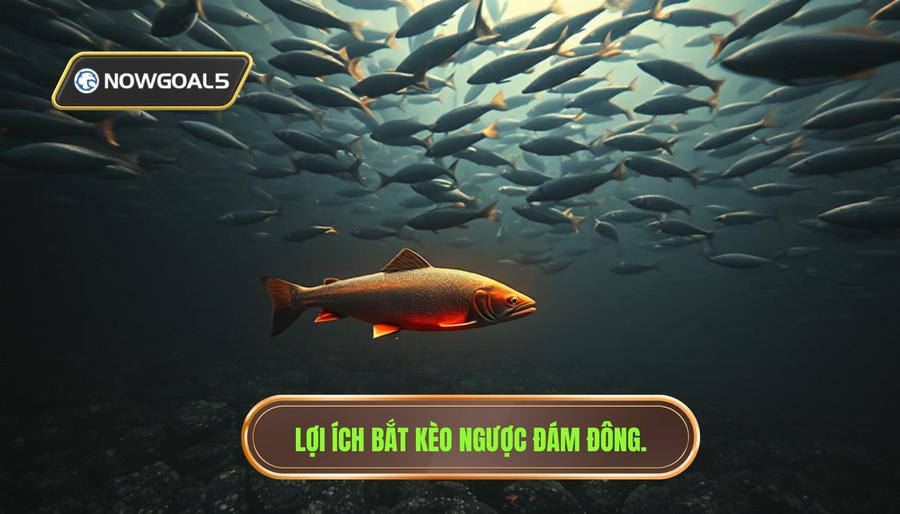 Tại sao nên áp dụng kinh nghiệm bắt kèo ngược đám đông?